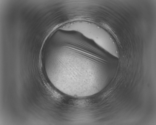 X0000053020892200507221336