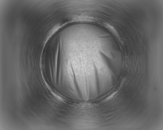 X0000053020893200507221336