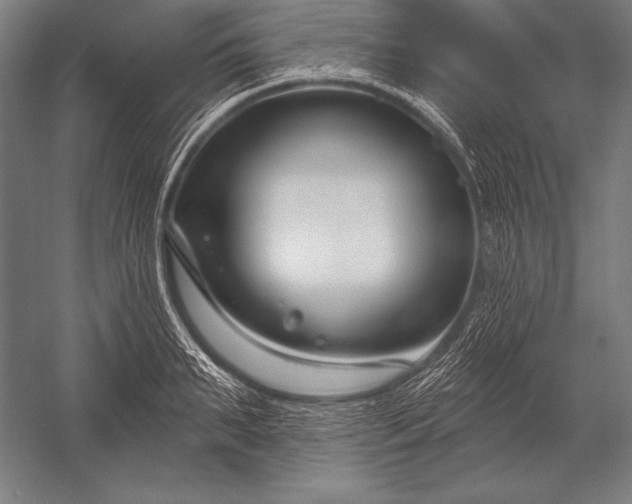 X0000053020895200507221336