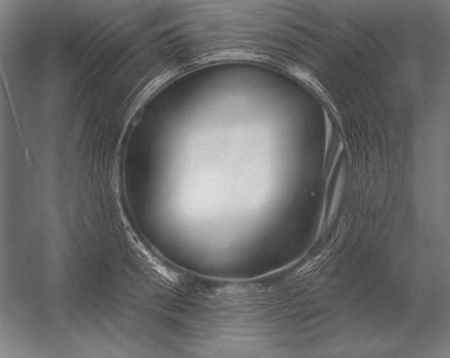X0000053020898200507221336