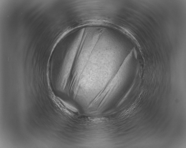 X0000053020899200507221336