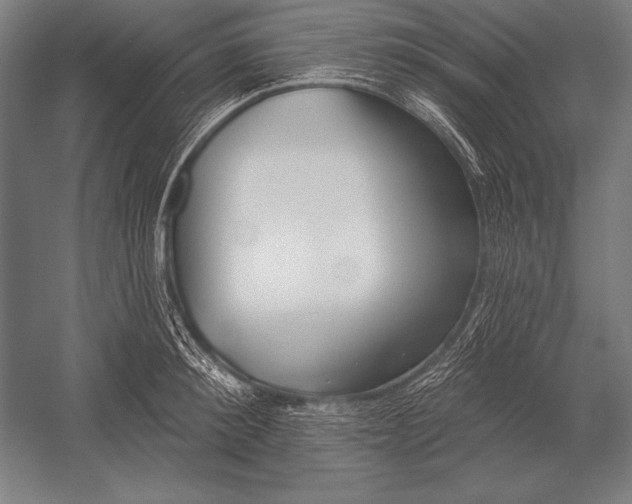 X0000053020900200507221336