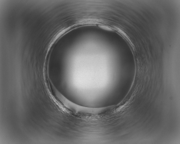 X0000053020901200507221336