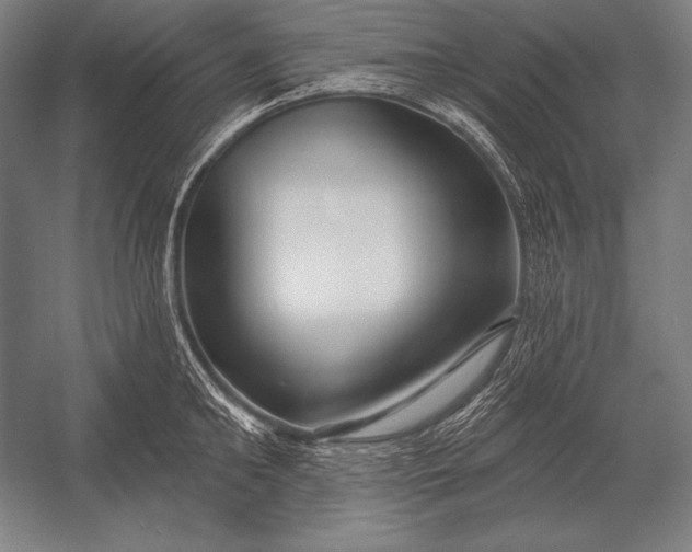 X0000053020902200507221336