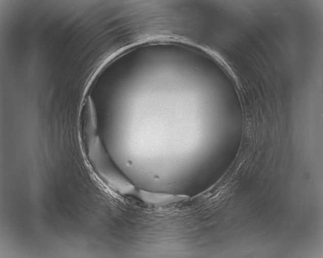 X0000053020903200507221336