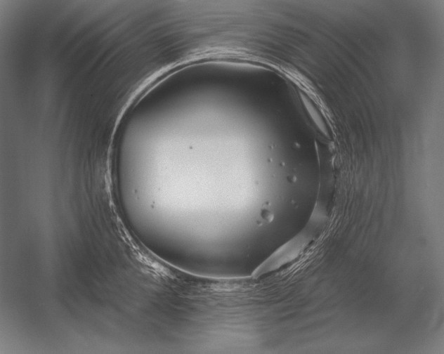 X0000053020904200507221336