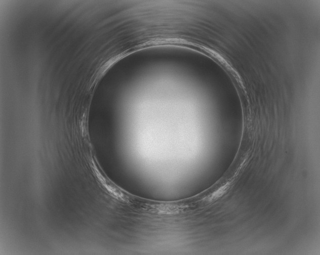 X0000053020905200507221336