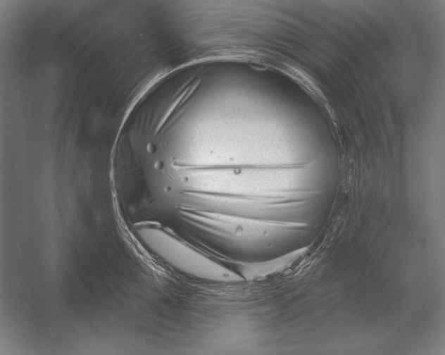 X0000053020907200507221336