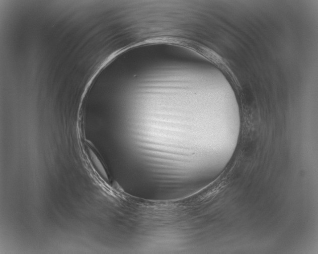 X0000053020908200507221336