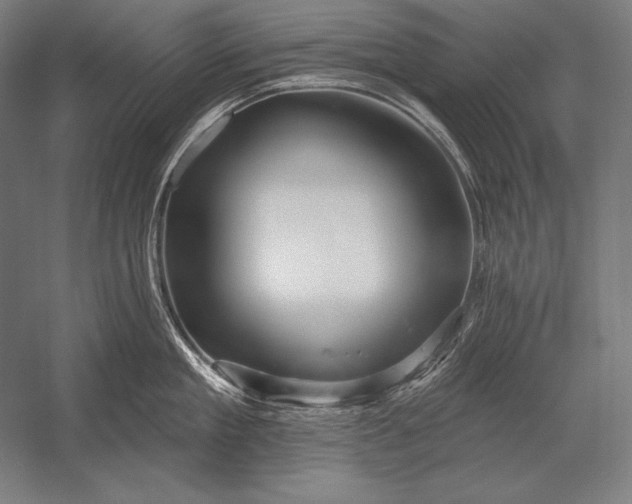 X0000053020909200507221336