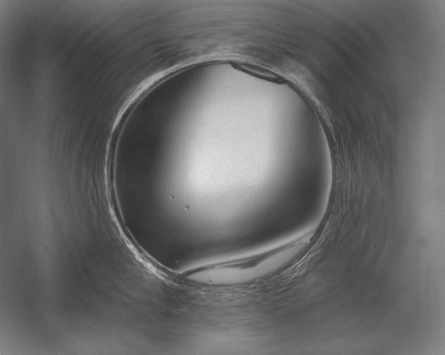 X0000053020910200507221336