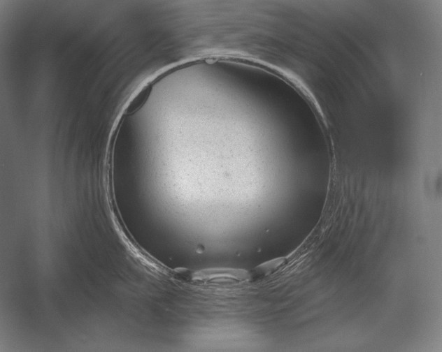 X0000053020911200507221336
