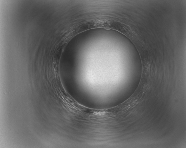 X0000053020914200507221335