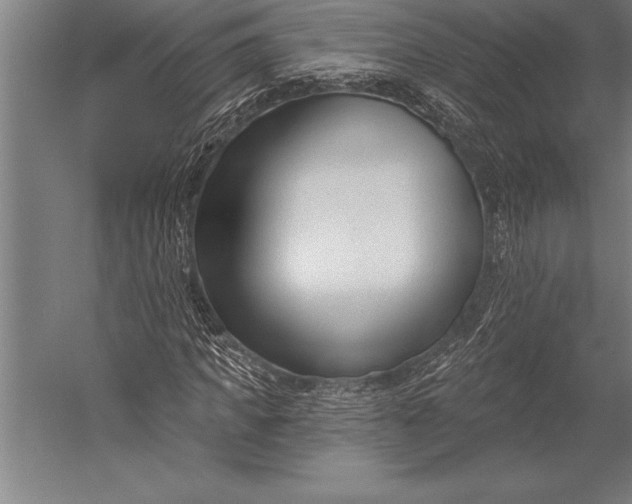 X0000053020917200507221335