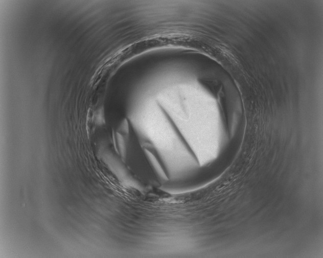 X0000053020920200507221335