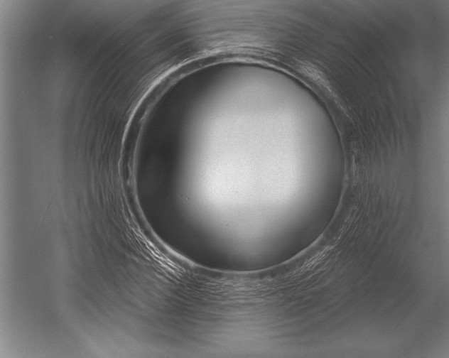 X0000053020924200507221335