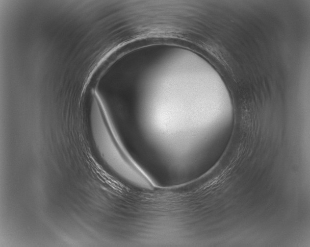X0000053020926200507221335