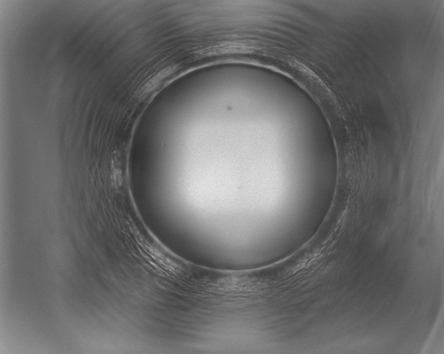 X0000053020929200507221336