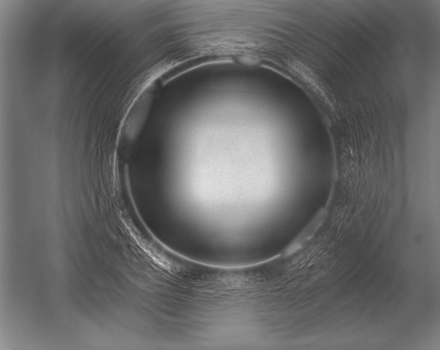 X0000053020932200507221336