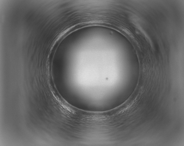 X0000053020933200507221336