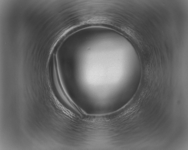 X0000053020934200507221336