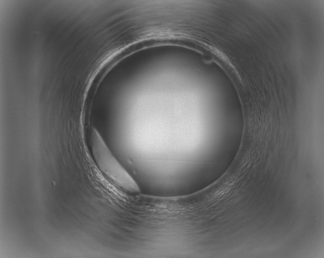 X0000053020935200507221336