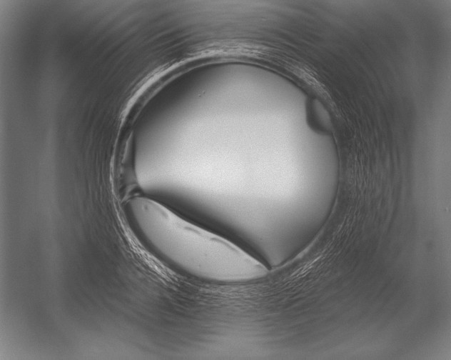 X0000053020936200507221336