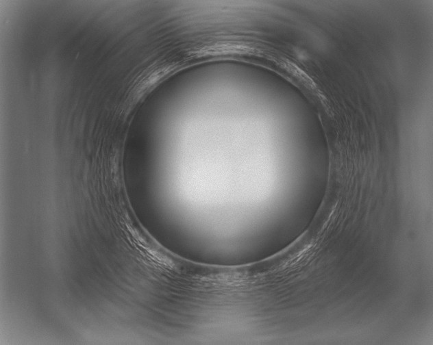 X0000053020937200507221336