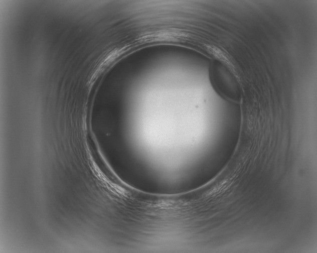 X0000053020938200507221336