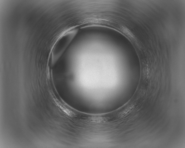 X0000053020940200507221336
