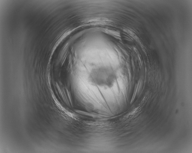 X0000053020941200507221336