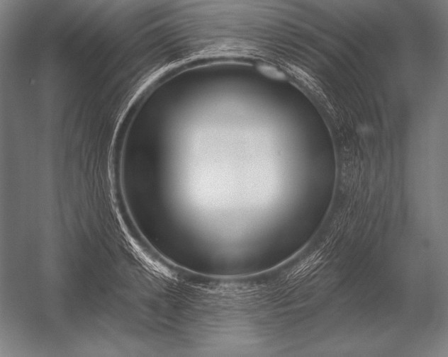 X0000053020942200507221336