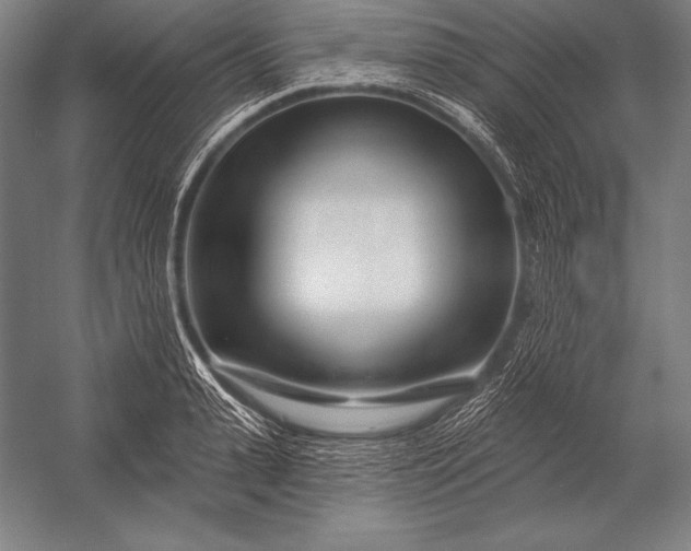 X0000053020943200507221336