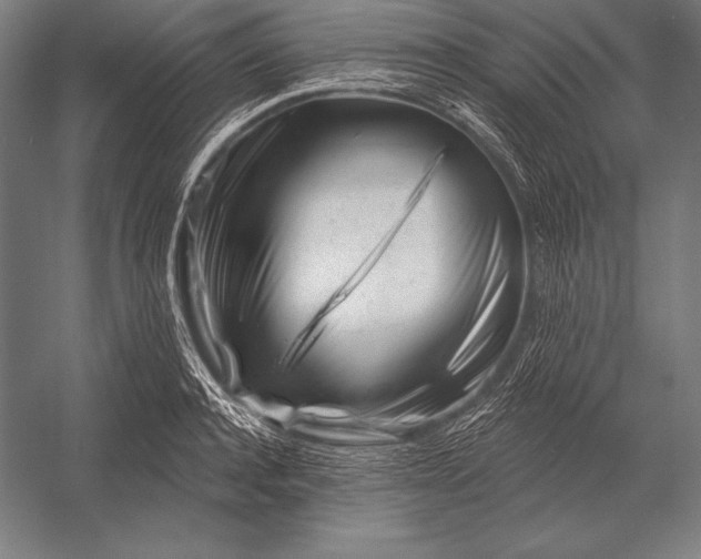 X0000053020944200507221336