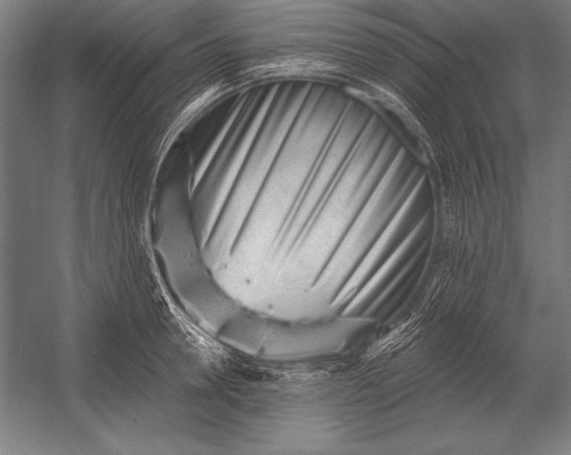 X0000053020946200507221336