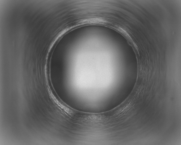 X0000053020947200507221336