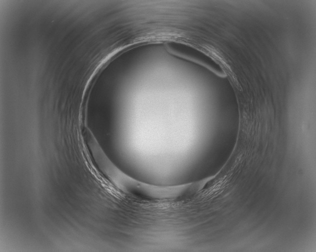X0000053020948200507221336