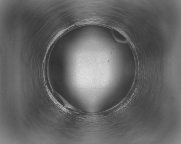 X0000053020949200507221336