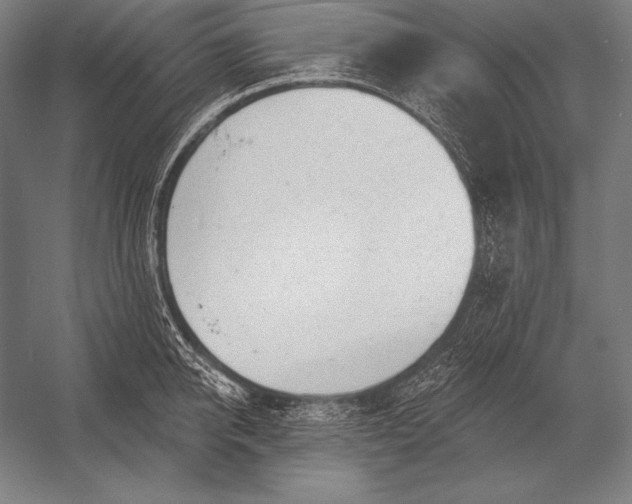 X0000053020950200507221336