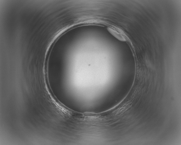 X0000053020951200507221336