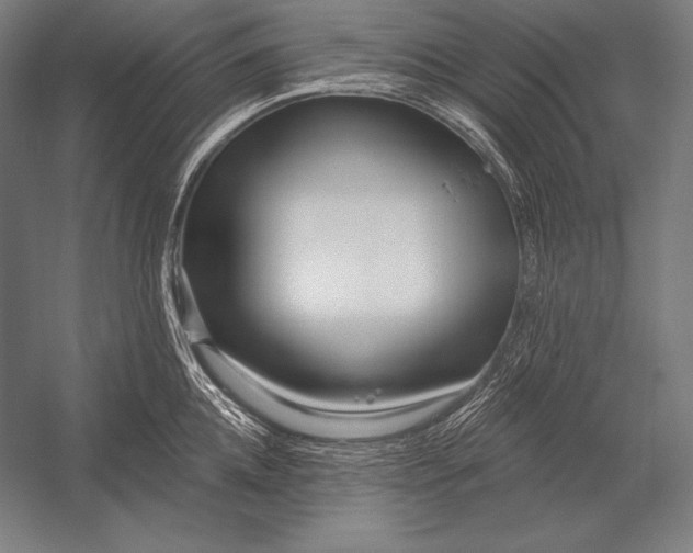 X0000053020952200507221336