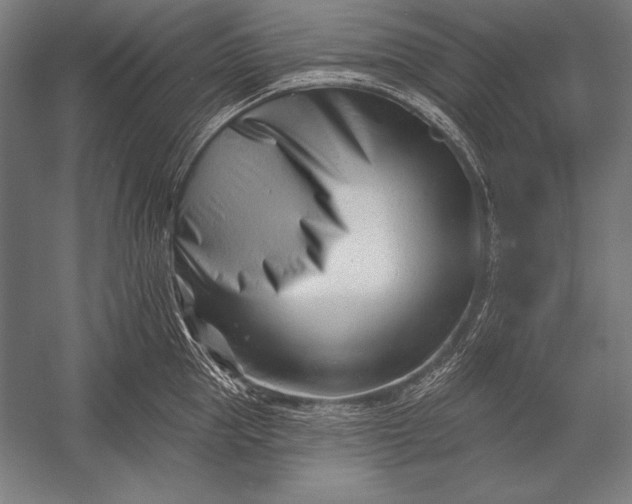 X0000053020953200507221336