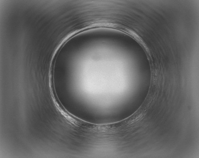 X0000053020955200507221336