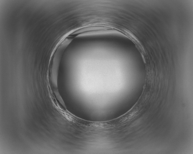 X0000053020956200507221336