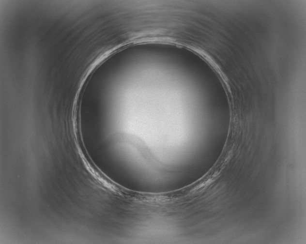 X0000053020957200507221336