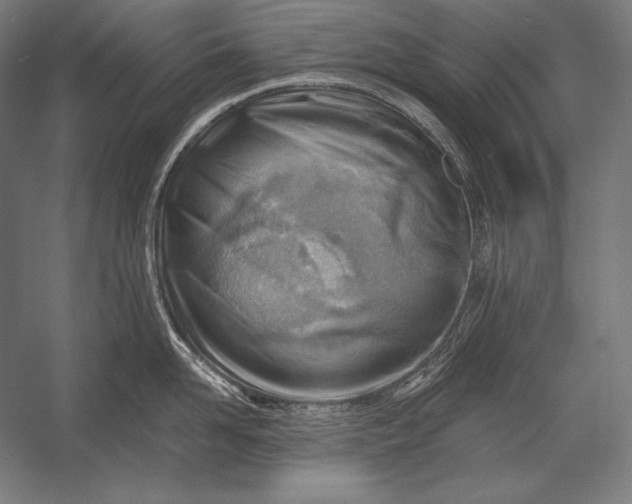 X0000053020958200507221336