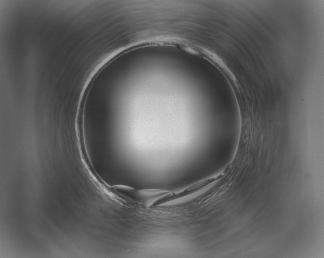 X0000053020959200507221336