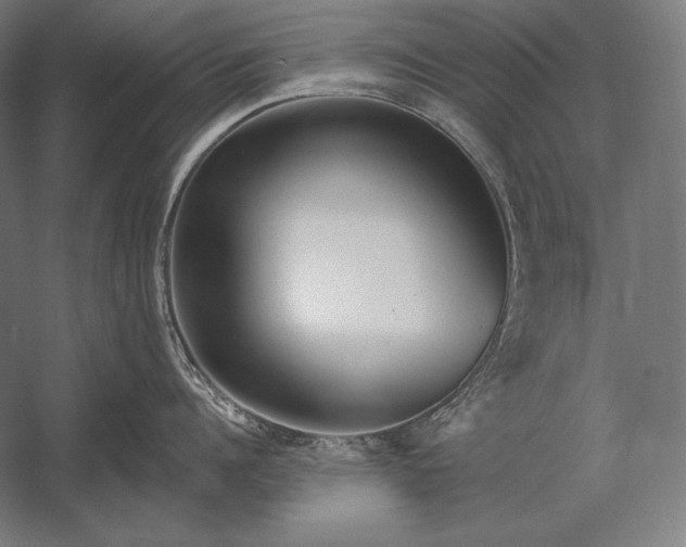 X0000053020960200507221336
