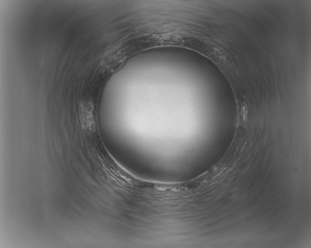X0000053020963200507221335