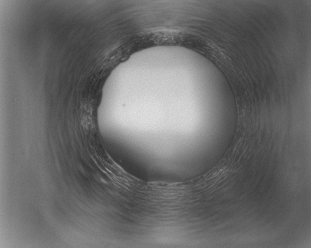 X0000053020964200507221335